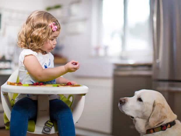 Force of Nature is a safe cleaning product for highchair trays