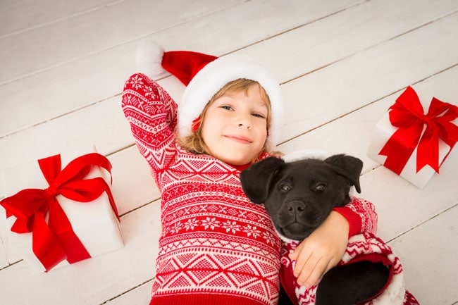 holiday season child holding small dog