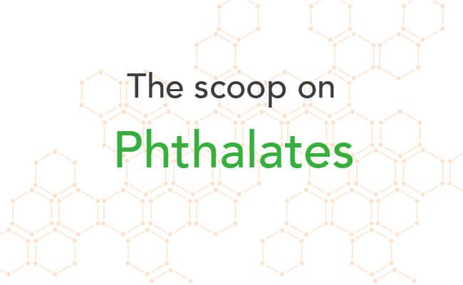 What are Phthalates