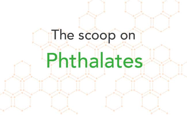 force of nature has no phthalates