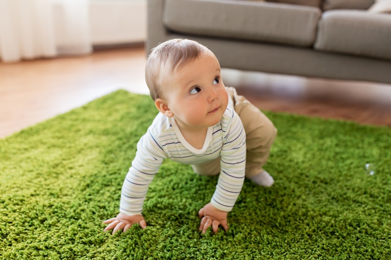 non-toxic carpets