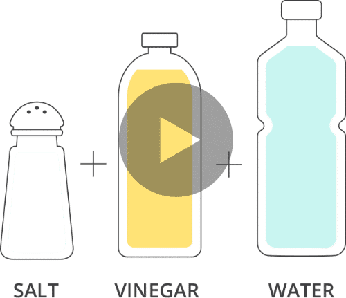play a video that shows the science of how we create hypochlorous acid and Sodium Hydroxide from salt water and vinegar