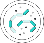 germs