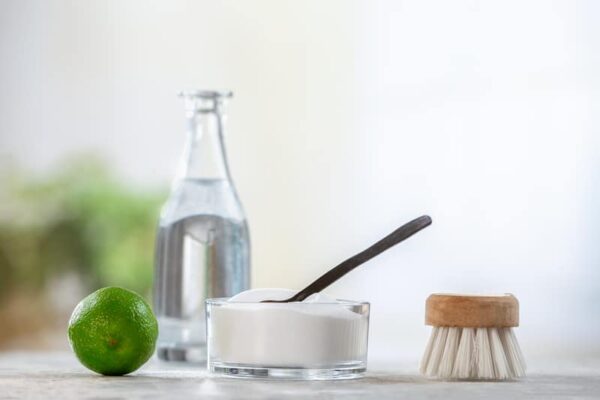Does Vinegar Kill Germs? Here's What You Need to Know - Force of Nature