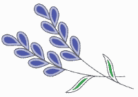 cartoon drawing of lavender