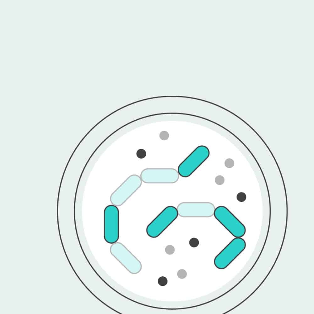 germs in a petri dish